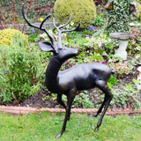 Solstice Sculptures Stag Large Aluminium Dark Bronze Effect
